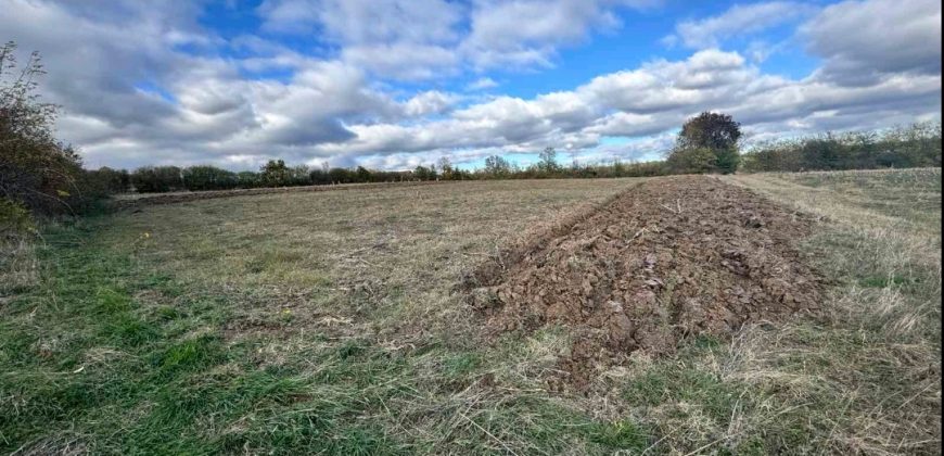 Prostrano imanje u Koraćici – 2,1 ha uz stari domaćinski ambijent