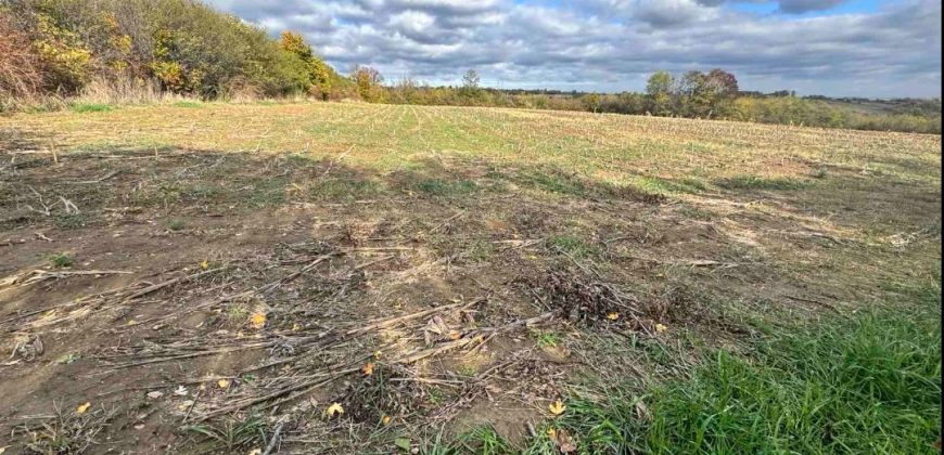 Prostrano imanje u Koraćici – 2,1 ha uz stari domaćinski ambijent