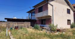 Kuća sa lokalom i placem – razrađen posao, 6 ari, Mladenovac