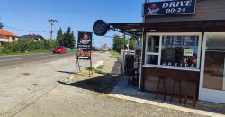 Kuća sa lokalom i placem – razrađen posao, 6 ari, Mladenovac