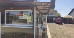 Kuća sa lokalom i placem – razrađen posao, 6 ari, Mladenovac