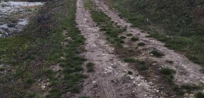 Poljoprivredno zemljište *Trnovo Brdo* Velika Ivanča Mladenovac