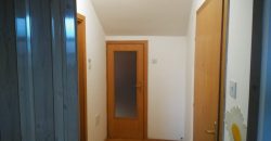 Tozino voće stan Mladenovac