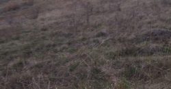 Poljoprivredno zemljište *Trnovo Brdo* Velika Ivanča Mladenovac