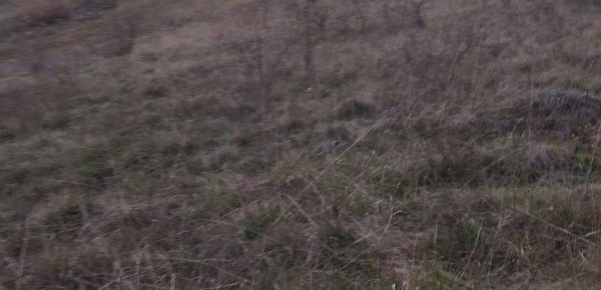 Poljoprivredno zemljište *Trnovo Brdo* Velika Ivanča Mladenovac