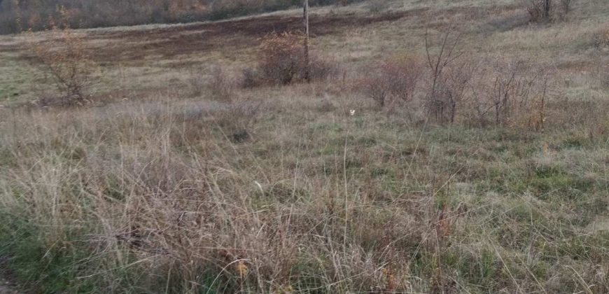 Poljoprivredno zemljište *Trnovo Brdo* Velika Ivanča Mladenovac