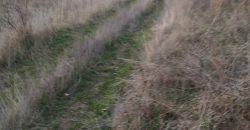 Poljoprivredno zemljište *Trnovo Brdo* Velika Ivanča Mladenovac