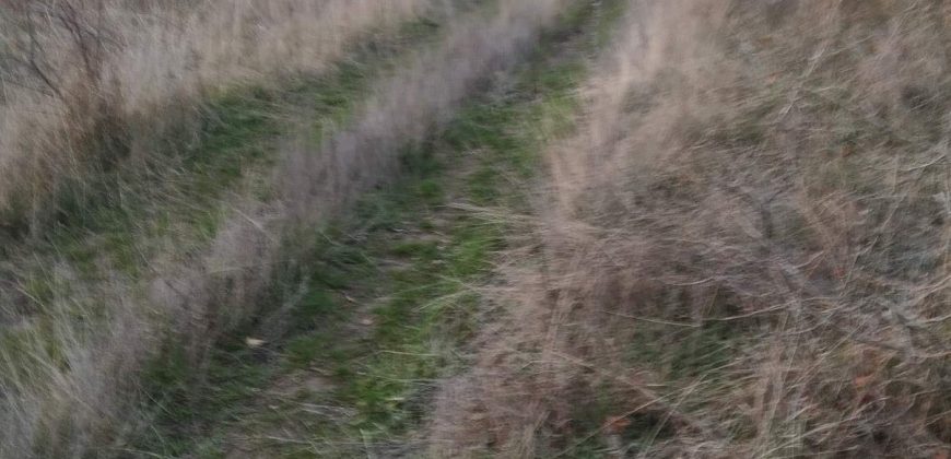 Poljoprivredno zemljište *Trnovo Brdo* Velika Ivanča Mladenovac