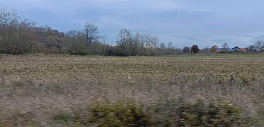 Koraćica Kosmaj Poljoprivredno Zemljište