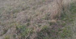 Poljoprivredno zemljište *Trnovo Brdo* Velika Ivanča Mladenovac