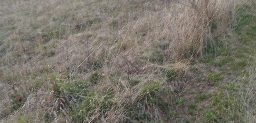 Poljoprivredno zemljište *Trnovo Brdo* Velika Ivanča Mladenovac