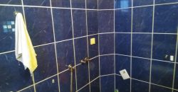 Tozino voće stan Mladenovac