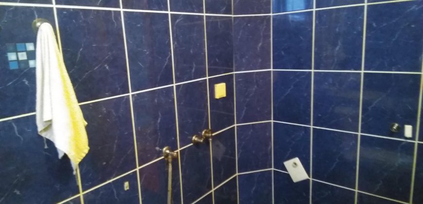 Tozino voće stan Mladenovac