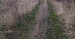 Poljoprivredno zemljište *Trnovo Brdo* Velika Ivanča Mladenovac