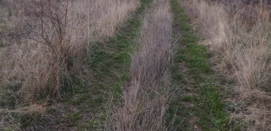 Poljoprivredno zemljište *Trnovo Brdo* Velika Ivanča Mladenovac