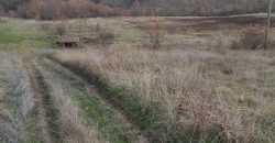 Poljoprivredno zemljište *Trnovo Brdo* Velika Ivanča Mladenovac