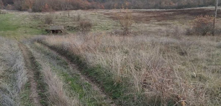 Poljoprivredno zemljište *Trnovo Brdo* Velika Ivanča Mladenovac