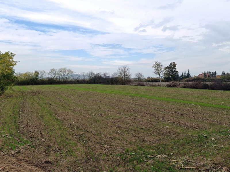 Na prodaju građevinski plac Medjulužje