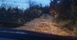 Šumsko zemljište Velika Ivanča / Rogača KOSMAJ