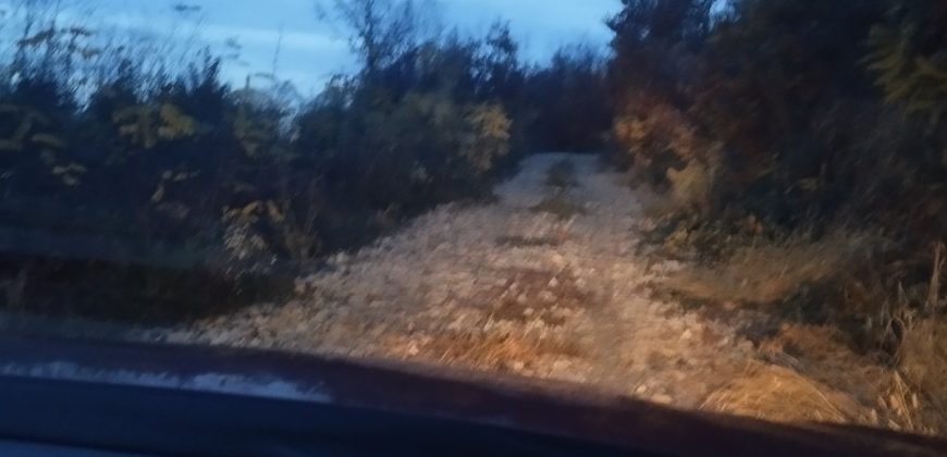 Šumsko zemljište Velika Ivanča / Rogača KOSMAJ