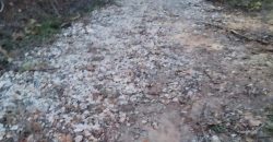 Šumsko zemljište Velika Ivanča / Rogača KOSMAJ