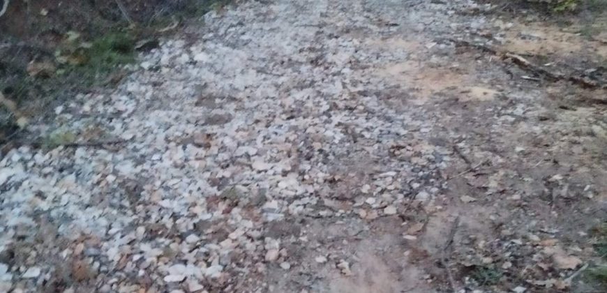 Šumsko zemljište Velika Ivanča / Rogača KOSMAJ