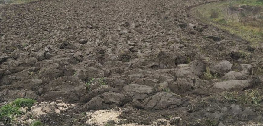 Poljoprivredno Zemljište Kosmaj-Prokop