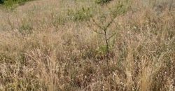 Gradjevinsko zemljište Popović Sopot