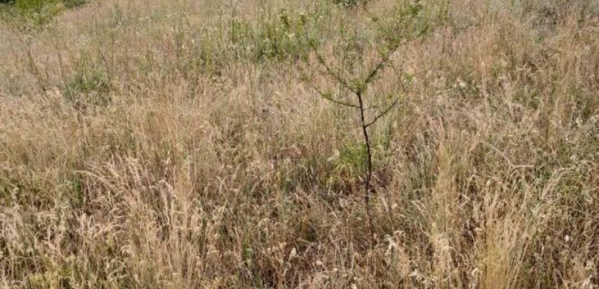 Gradjevinsko zemljište Popović Sopot