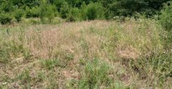 Gradjevinsko zemljište Popović Sopot