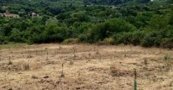 Gradjevinsko zemljište Popović Sopot