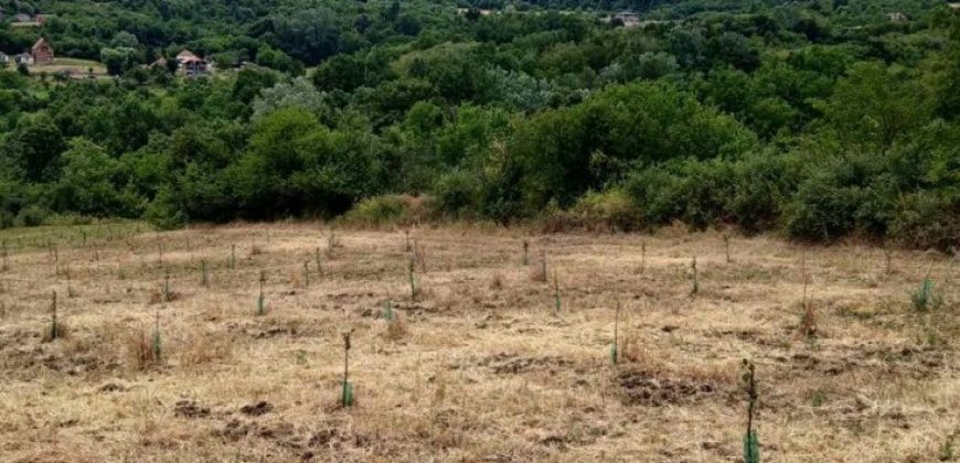 Gradjevinsko zemljište Popović Sopot