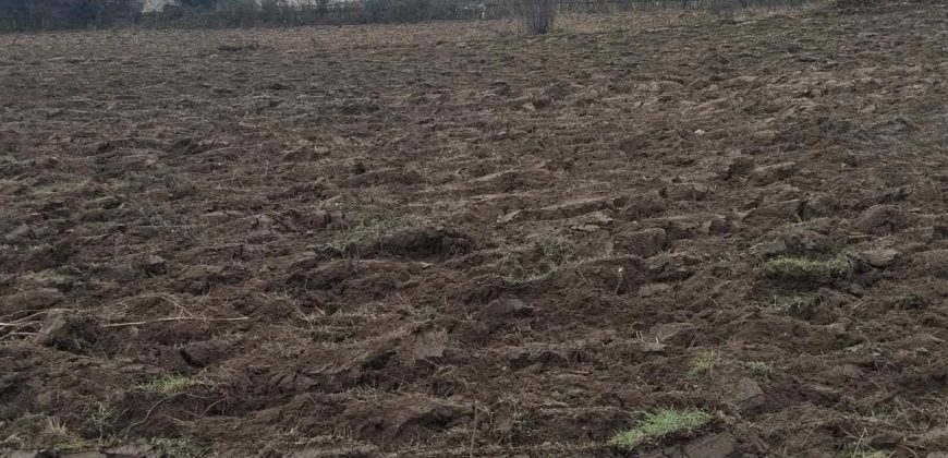 Poljoprivredno Zemljište Kosmaj-Prokop