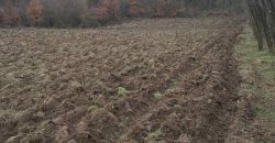 Poljoprivredno Zemljište Kosmaj-Prokop