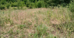 Gradjevinsko zemljište Popović Sopot