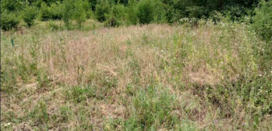 Gradjevinsko zemljište Popović Sopot