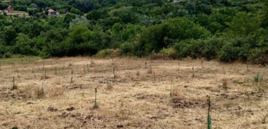 Gradjevinsko zemljište Popović Sopot