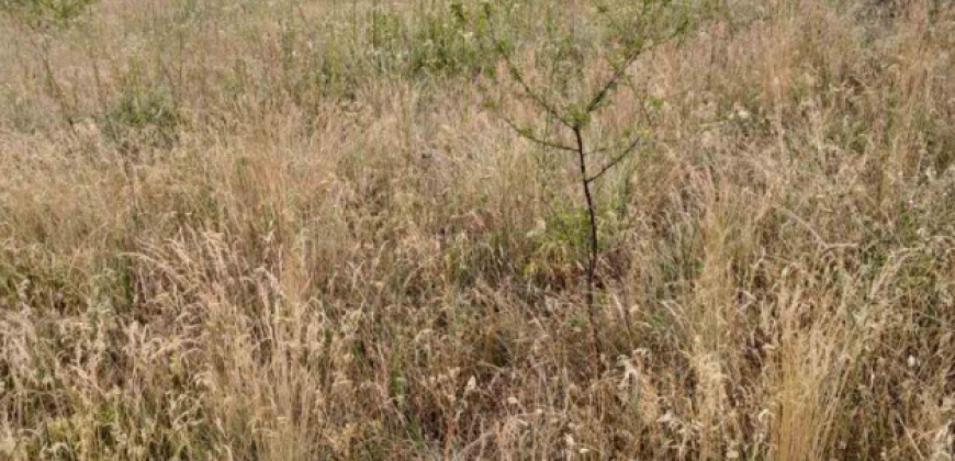 Gradjevinsko zemljište Popović Sopot