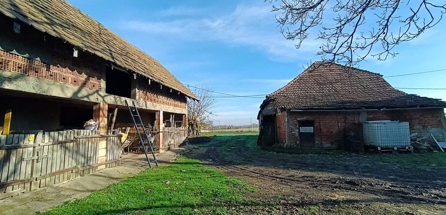 Kuća Koraćica sa pogledom na Kosmaj