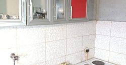 Stan Mladenovac Kneza Lazara 55m2 Prizemlje