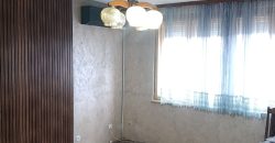 Stan Mladenovac Kneza Lazara 55m2 Prizemlje