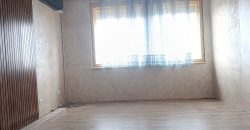 Stan Mladenovac Kneza Lazara 55m2 Prizemlje