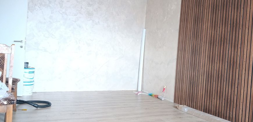 Stan Mladenovac Kneza Lazara 55m2 Prizemlje