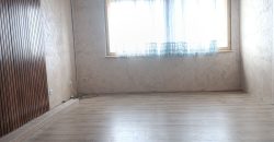 Stan Mladenovac Kneza Lazara 55m2 Prizemlje