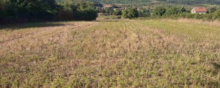 Gradjevinsko Zemljište Mali Požarevac