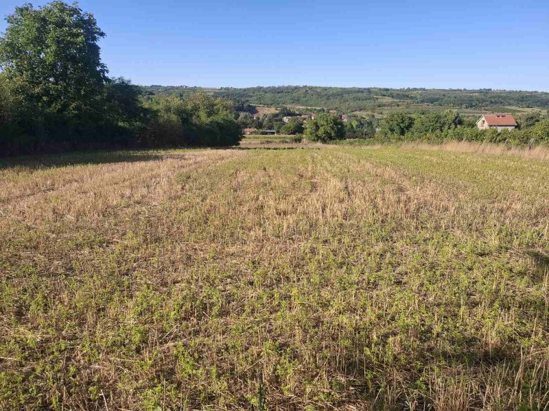 Gradjevinsko Zemljište Mali Požarevac