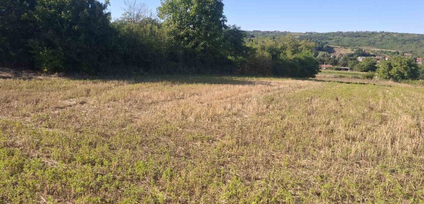 Gradjevinsko Zemljište Mali Požarevac