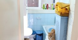 Dvosoban stan u strogom centru Mladenovca   62m2 PRODATO