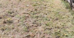 Gradjevinski Plac Drapšin