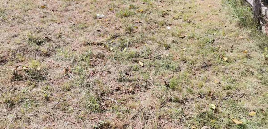 Gradjevinski Plac Drapšin